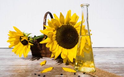 cuántos girasoles se necesitan para un litro de aceite