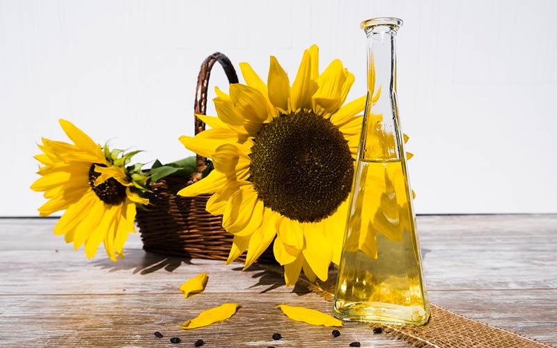 cuántos girasoles se necesitan para un litro de aceite