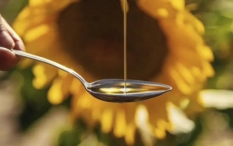 Cuánto aceite de girasol se puede comer al día